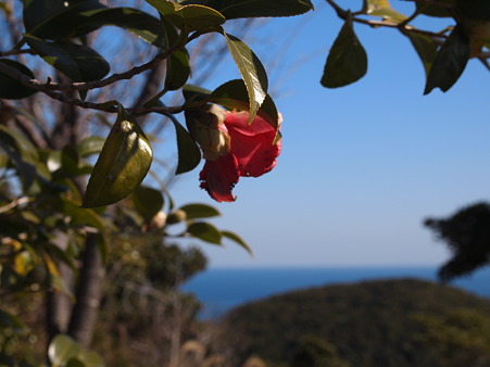 宮野浦八十八箇所