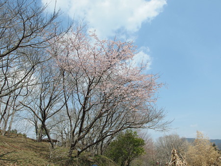 P3120217
