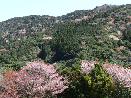 P3230613