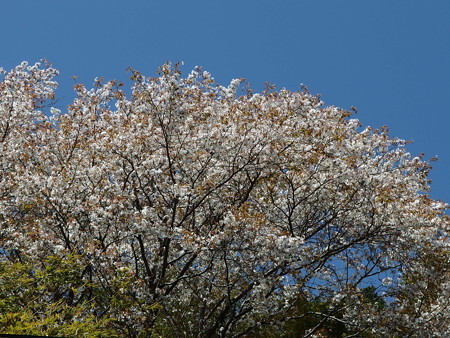 P3230620
