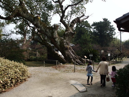 P3220488