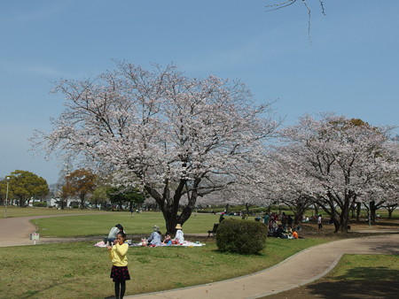 P3300751