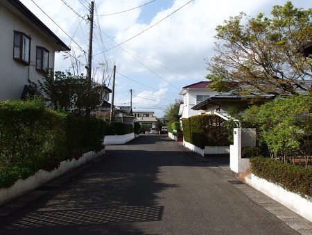 P4010909