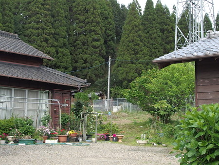 P4181305
