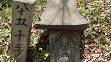 P4221388