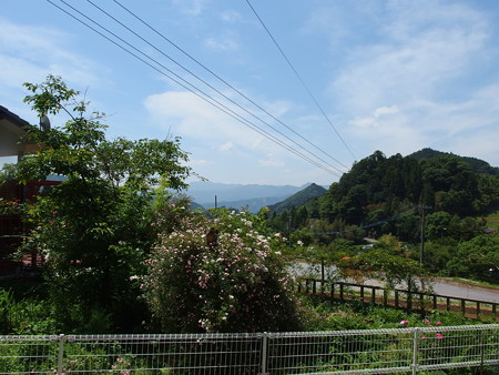 P5222013