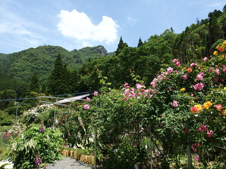 P5222027