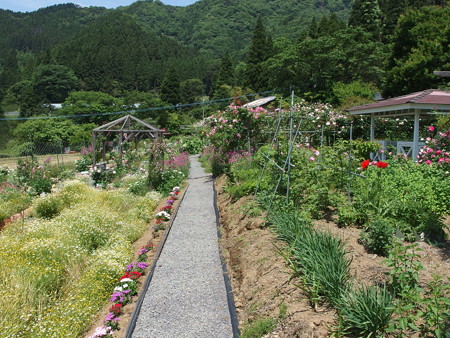 P5222029