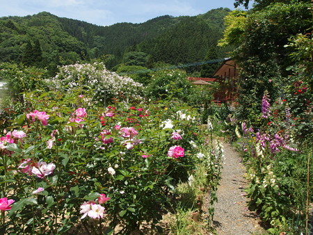 P5222043
