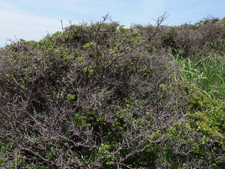 P5222072