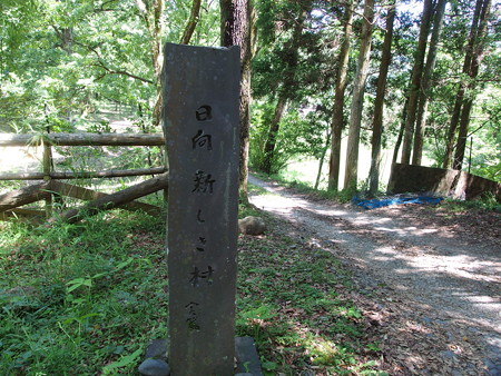 P5211929