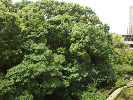 P6042287