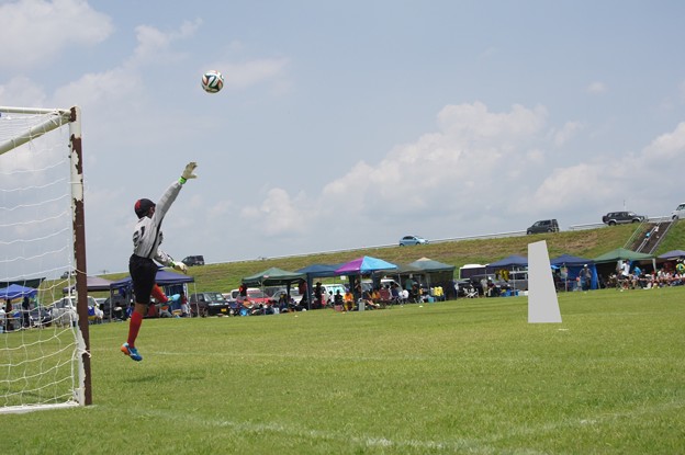 写真: IMG_2703