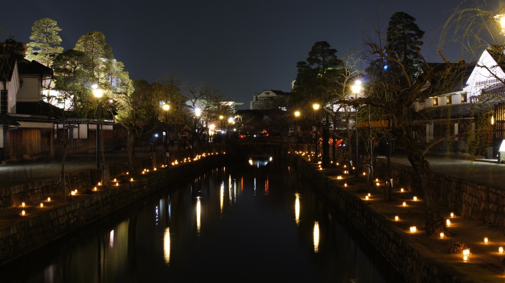 写真: 4