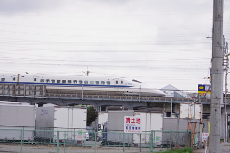 IMGP7150
