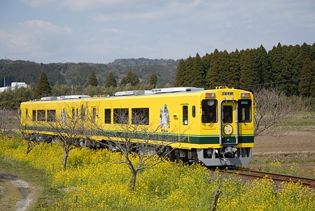 D20_4101