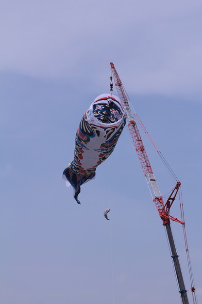 大きな口だこと