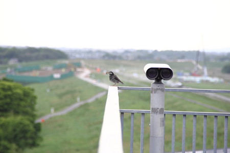 待っててね。