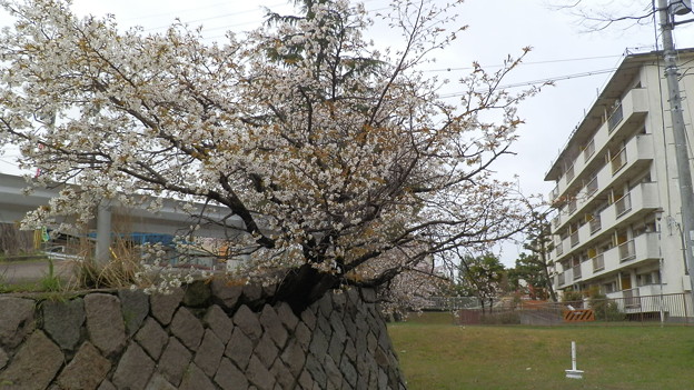 P4040313