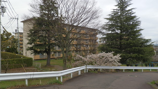 P4040309