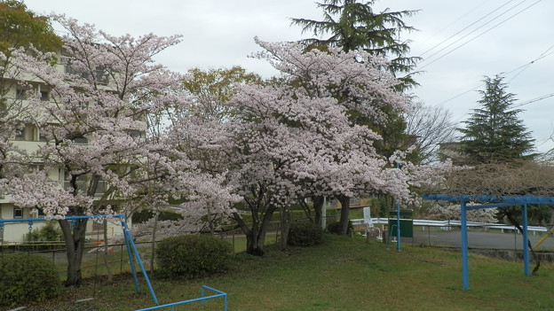 P4040307