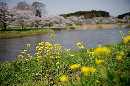 DSC00250