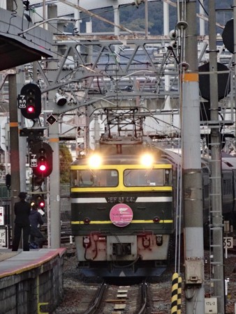 306-EF81-44