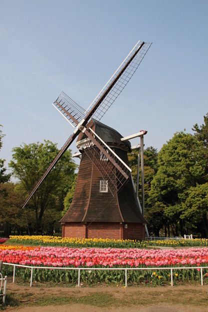 20140416名城公園