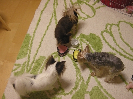 DSCN0943