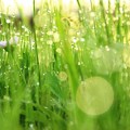 春はあけぼの２