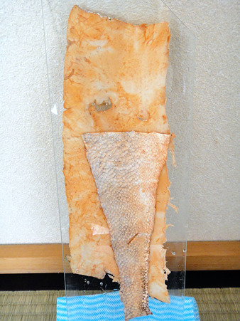 DSC03060