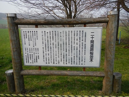 2015,4/28 静内 二十間道路桜並木3