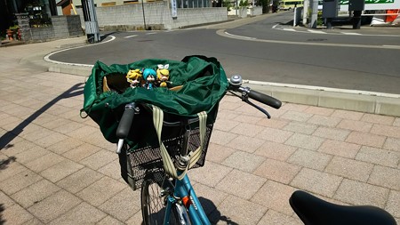 レンタサイクル借りた。はぁも、自転車に乗るの何年ぶりやwww レン:...