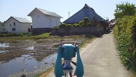 ミク:「さすが蔵のまち喜多方ですね」