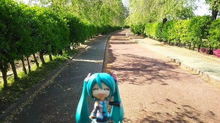 ミク:「旧国鉄日中線跡の自転車道です」