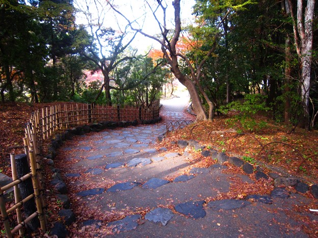 円山公園