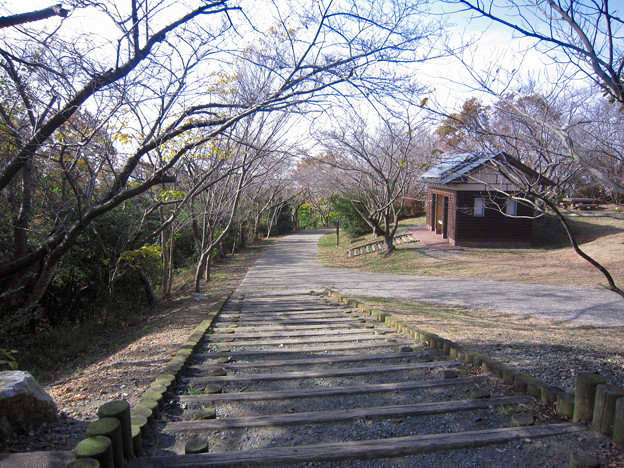 豊橋市