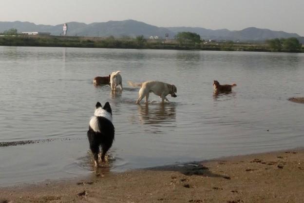 暑すぎ