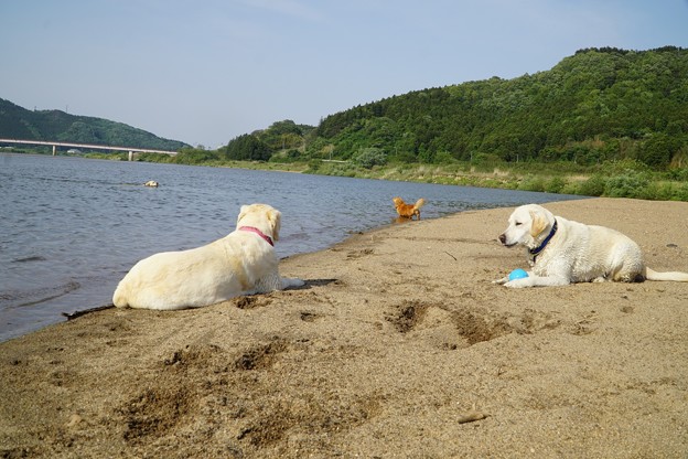 真夏日