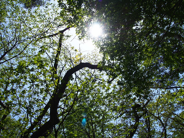 Photos: P5270462