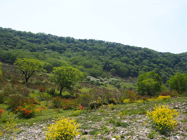 P5270577