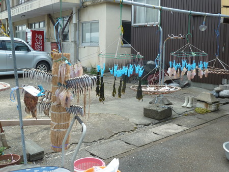 舞鶴~常神2015 043