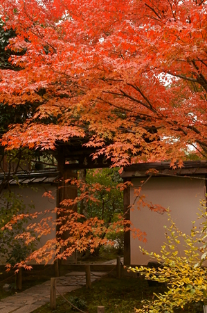 4金福寺１