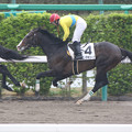 Photos: タニノタキシード レース（15/04/05・4R）