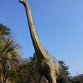 Photos: 恐竜現る！