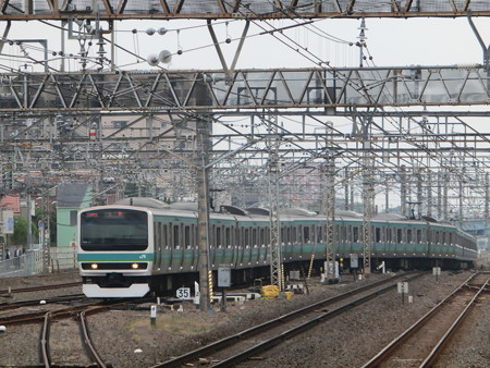 CIMG9135