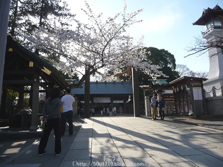 150328-伊勢山皇大神宮 (9)