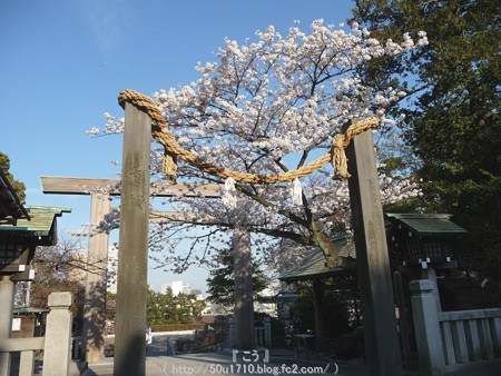 150328-伊勢山皇大神宮 (32)