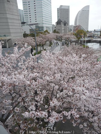 150404-MM21 (2)