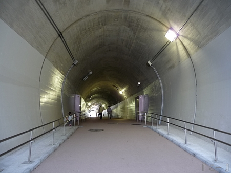 110622-東横廃線 反町→横浜 (59)